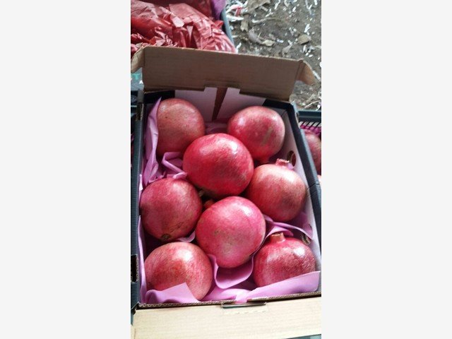 Our Products Gallery