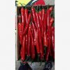 Our Products Gallery