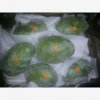 Our Products Gallery