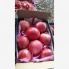 Our Products Gallery