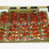 Our Products Gallery
