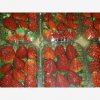 Our Products Gallery