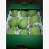 Our Products Gallery