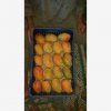 Our Products Gallery